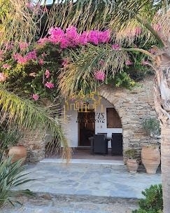 (Προς Ενοικίαση) Κατοικία Διαμέρισμα || Κυκλάδες/Μύκονος - 60 τ.μ, 1 Υ/Δ, 10.000€ 